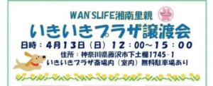 譲渡会のお知らせ🐶