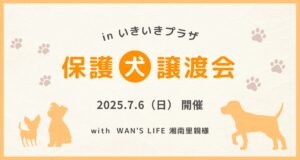 第二回譲渡会🐾