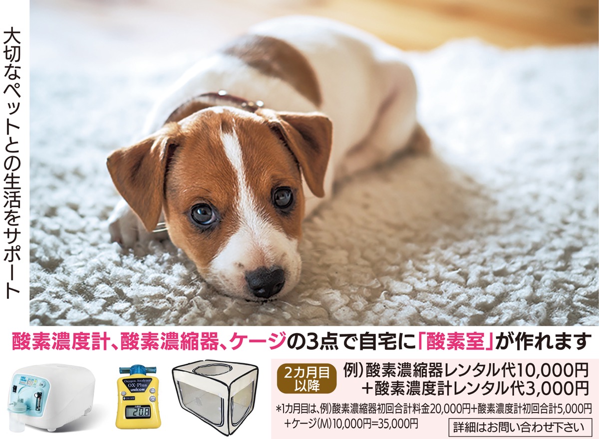 🐶ペット用酸素濃縮器について🐱