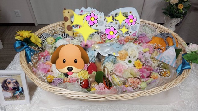 💐ペット葬クオリアのお別れ式Part2💐