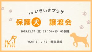 🐶わんちゃん譲渡会のお知らせ🐶